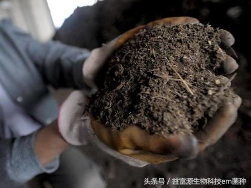 哪些原料可以发酵成生物有机肥,怎么做